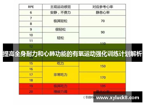 提高全身耐力和心肺功能的有氧运动强化训练计划解析